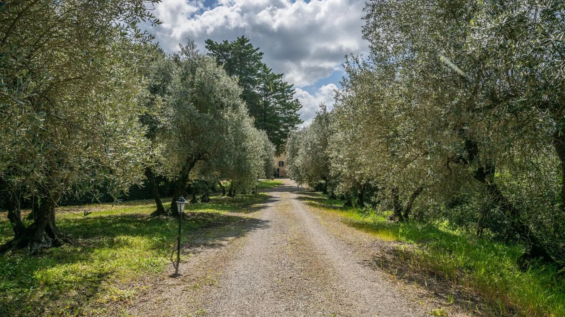 Villa Ott Crespina Italy